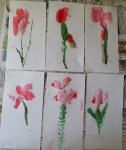 COQUELICOTS A L'AQUARELLE