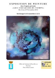 Affiche Joce Peyroles Novembre 2014